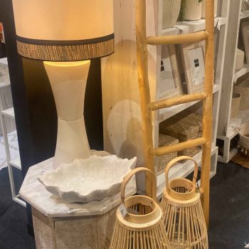 4526E3C3-677E-45E4-AFB9-6C7607DC2E7D_2_11zon